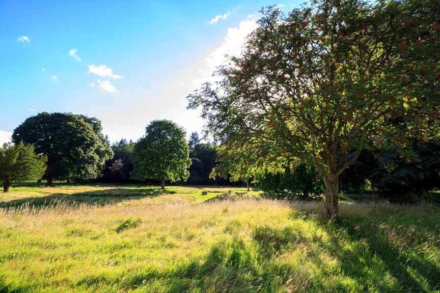 Ländereien von Dryburgh Abbey bei Sonnenuntergang